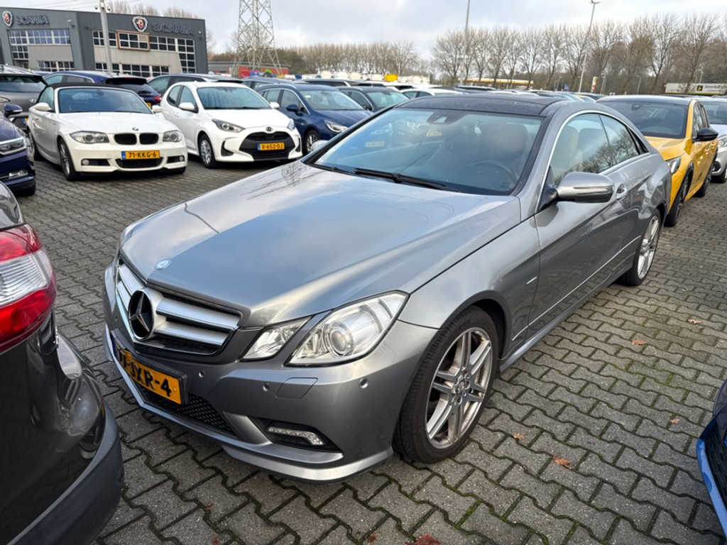 49507069
