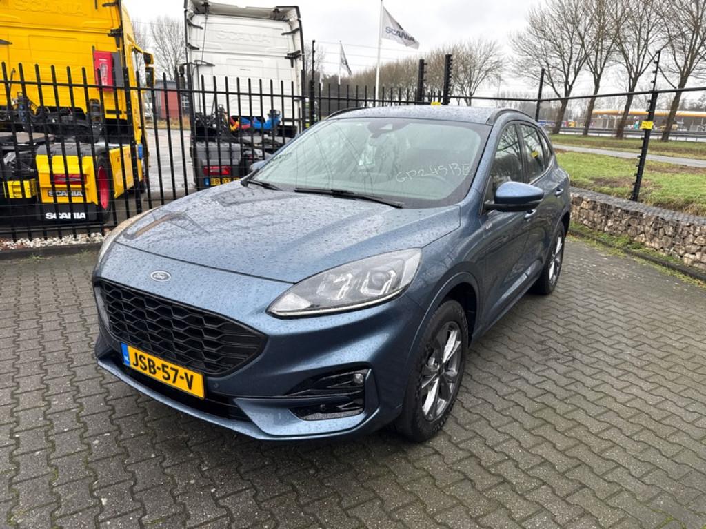 50203969