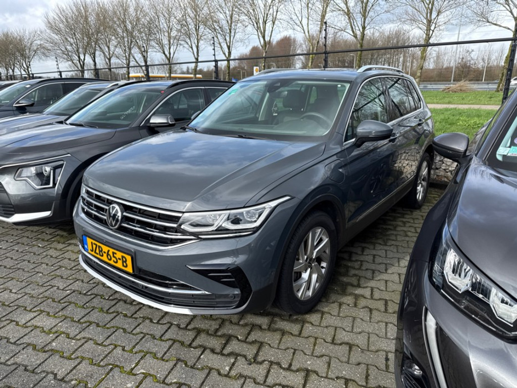 51576629