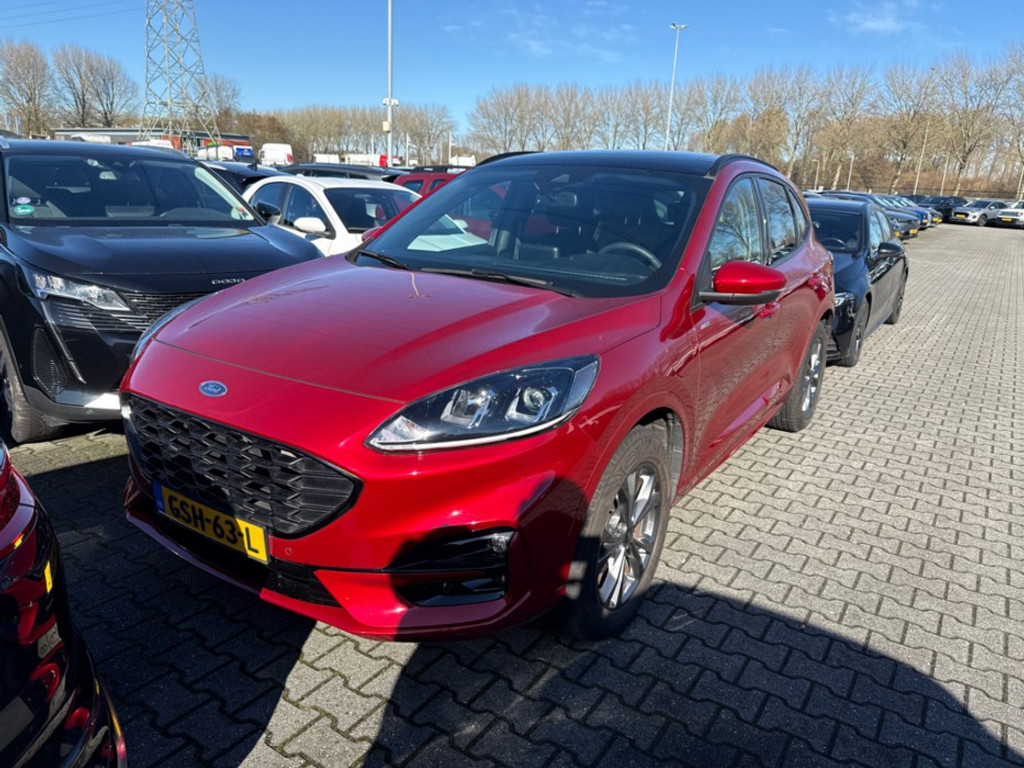 51607954