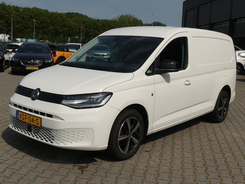 53305204-1.jpg