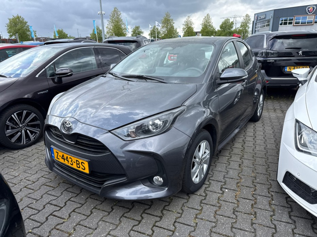53362029
