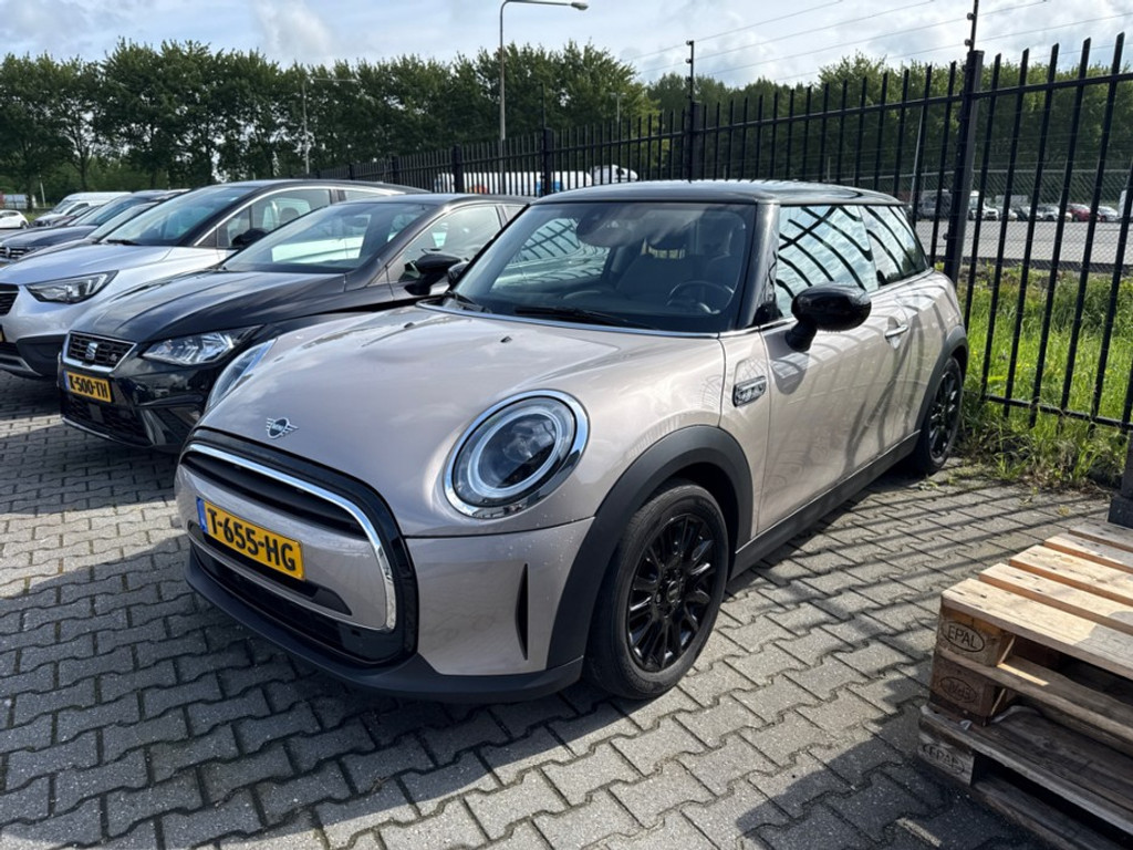 53416985