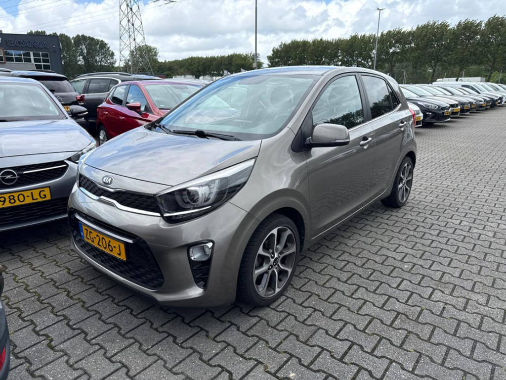 53557471