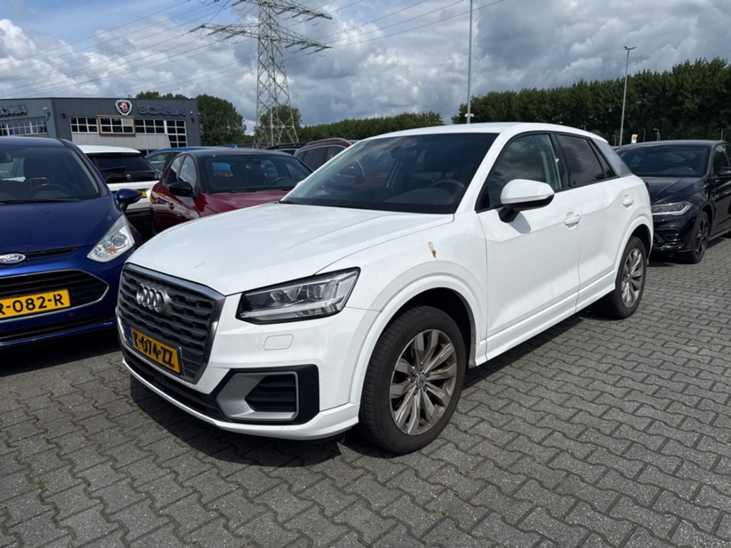53947562