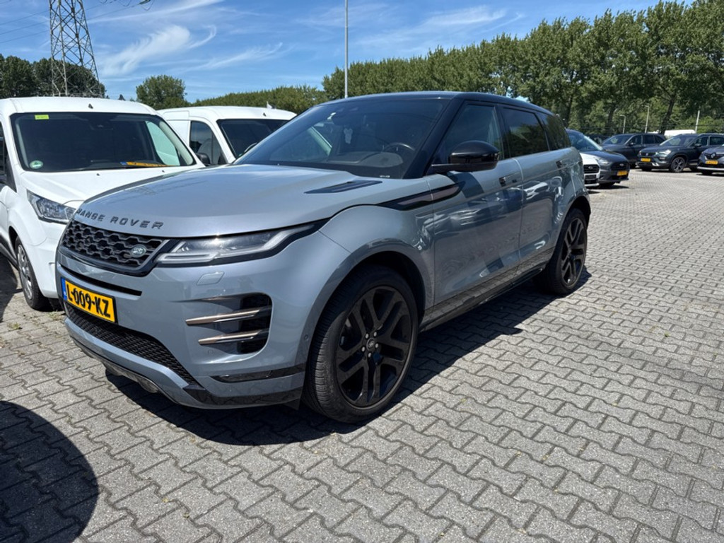 54412520-0.jpg