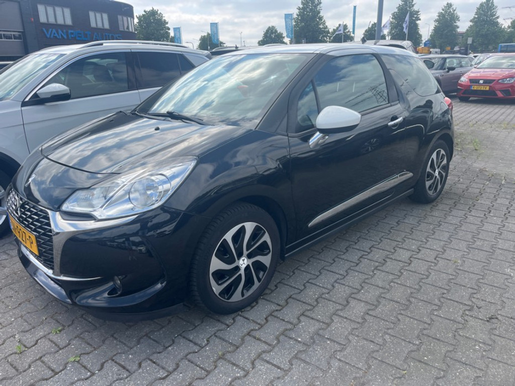 55065604