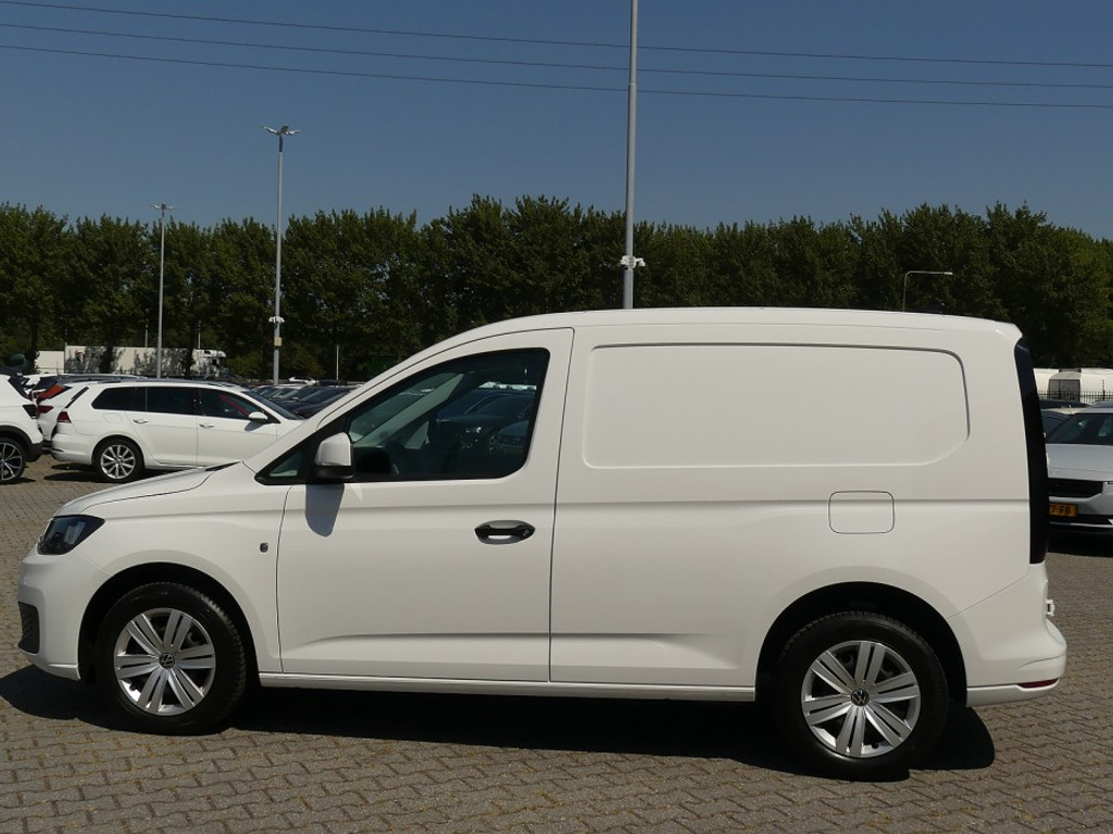 55346730-2.jpg