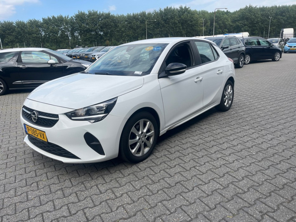 55586267