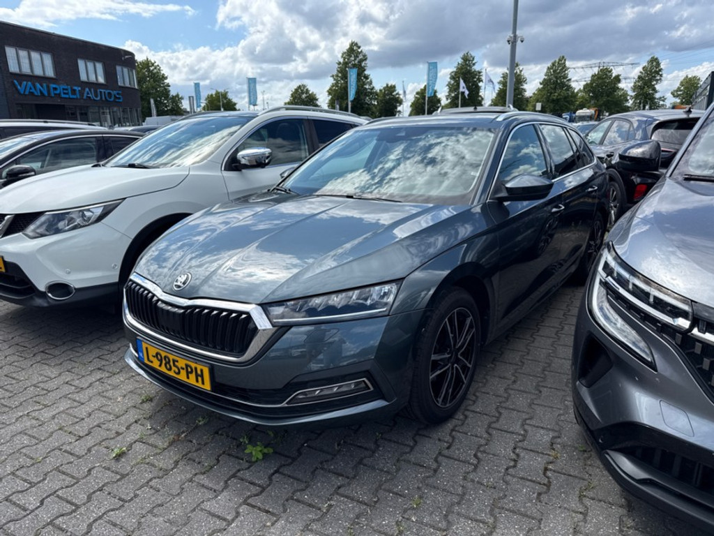 55643010