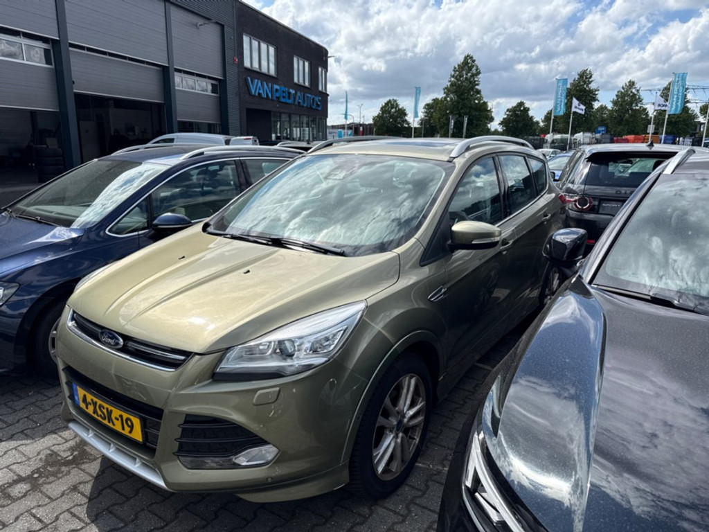 55645302