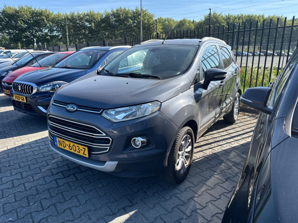 55911772