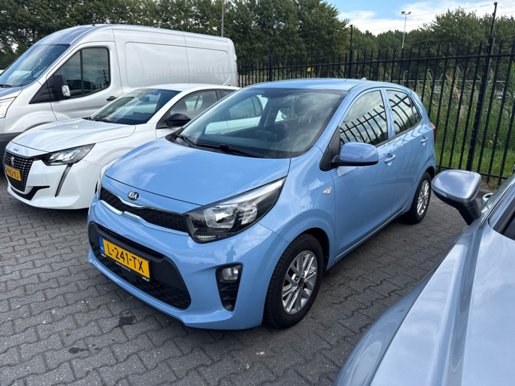 56154031
