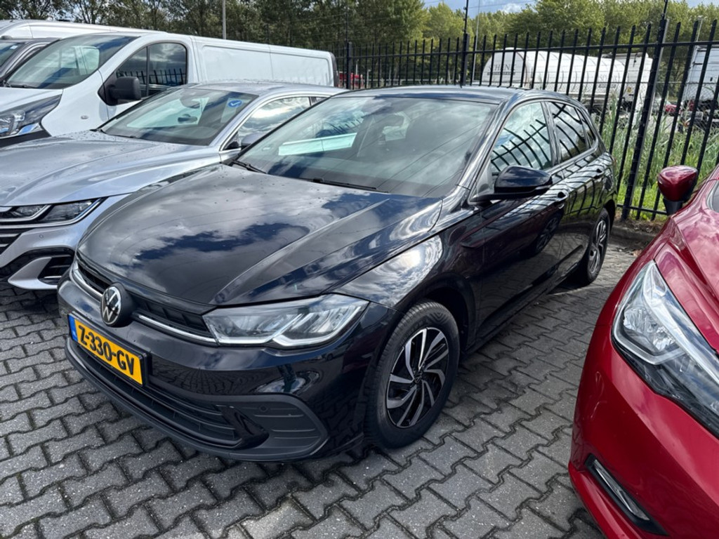 56323933